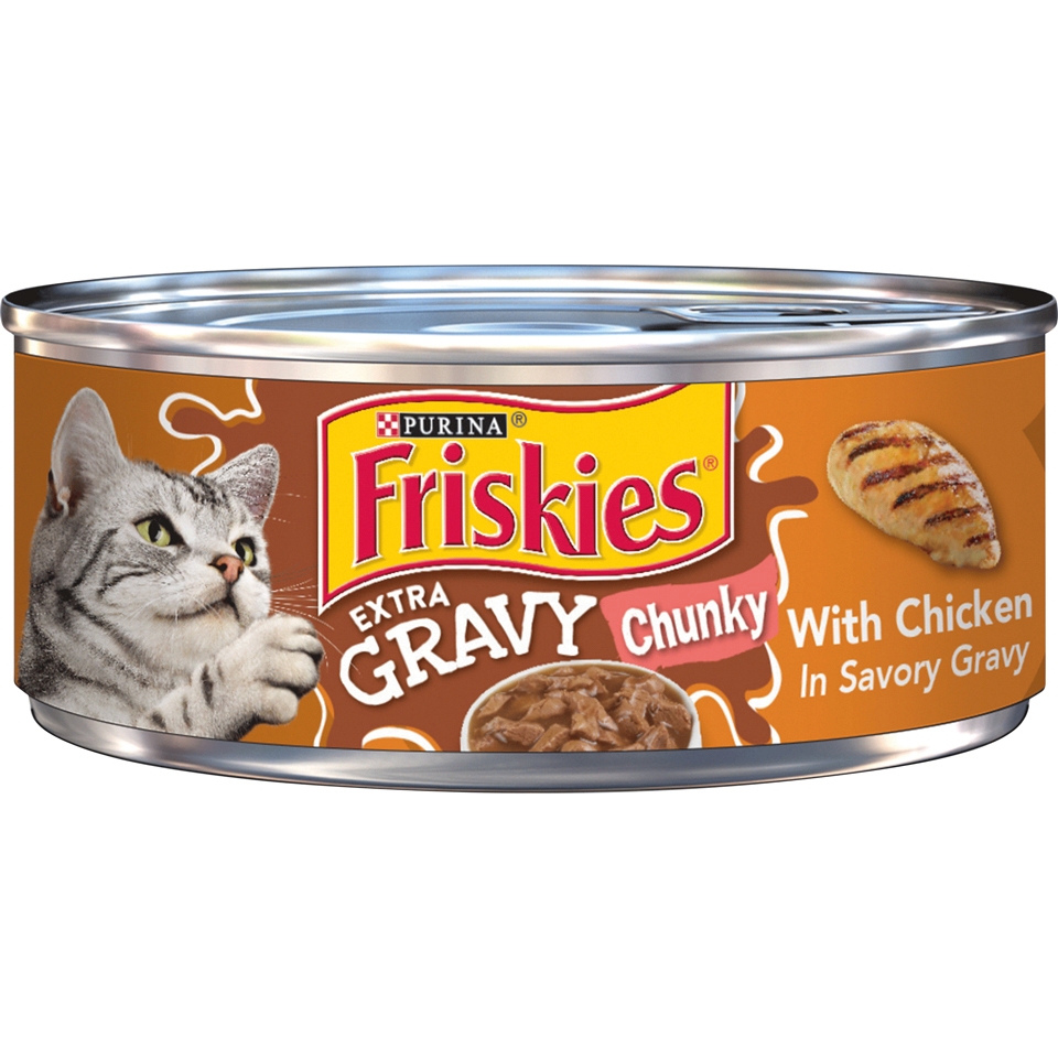 Is gravy bad for cats sale